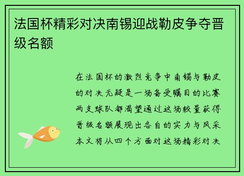 法国杯精彩对决南锡迎战勒皮争夺晋级名额