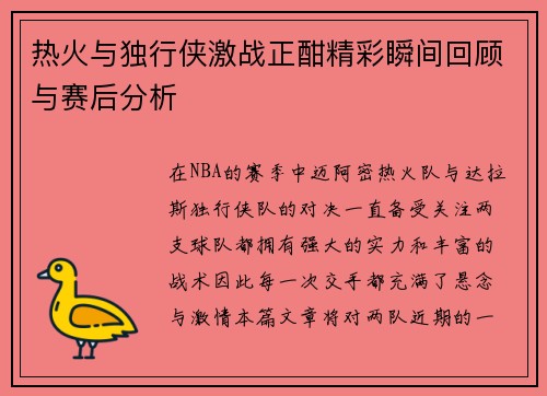 热火与独行侠激战正酣精彩瞬间回顾与赛后分析