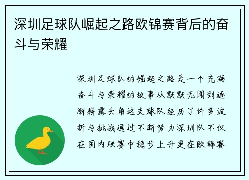深圳足球队崛起之路欧锦赛背后的奋斗与荣耀